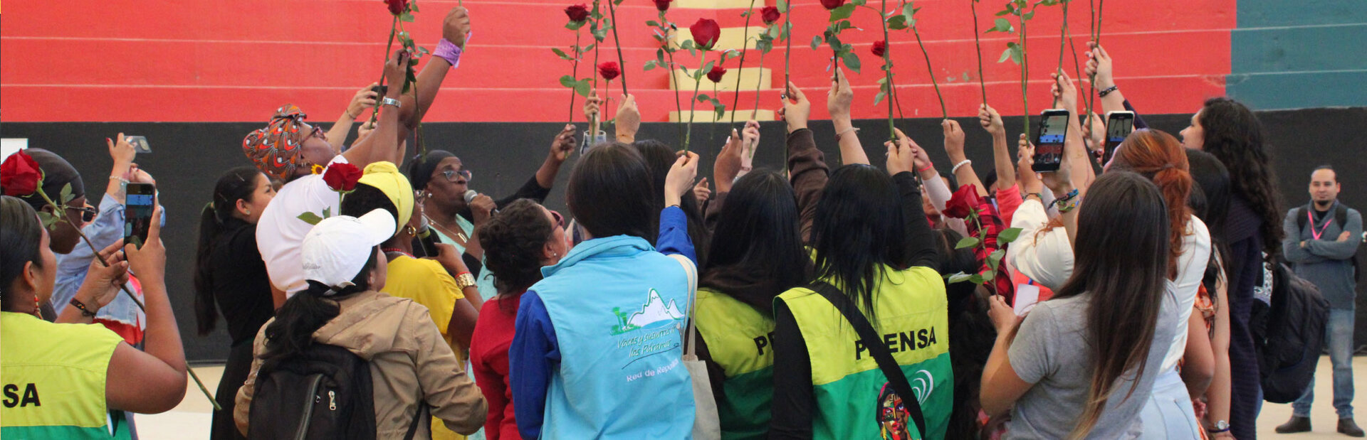 Banner-03.